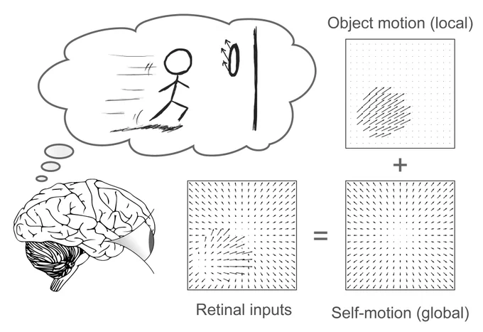 Perception as inference