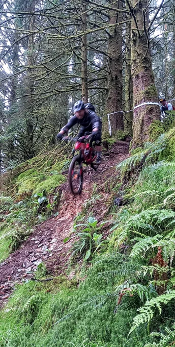 slip sliding around the Dyfi forest