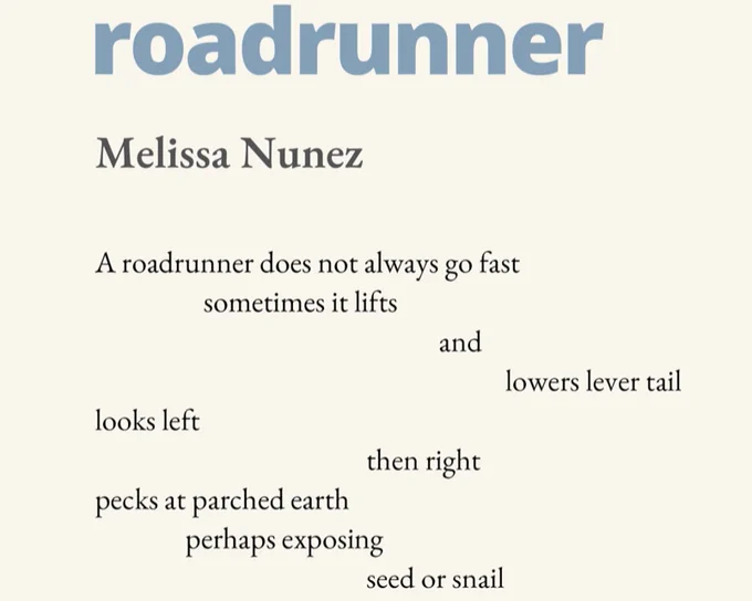 Roadrunner by Melissa Nunez

A roadrunner does not always go fast
Sometimes it lifts 
and 
lowers lever tail
Looks left 
then right
Pecks at parched earth 
Perhaps exposing 
seed or snail