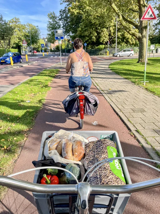 A view over the handlebars of a bicycle basket loaded with grocery bags following another cyclist with filled saddle bags along a red bike lane.