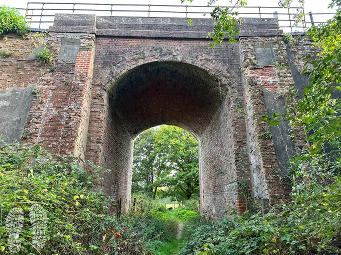 Looking up at a high railway arch from an overgrown footpath  on a beautiful autumnal day in Kent