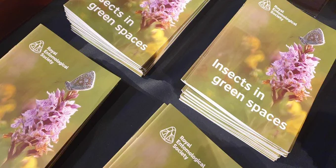 Insects in green spaces booklet - Free to download