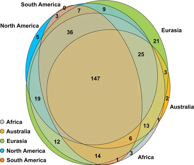 Venn diagram visualizing the number of arbuscular mycorrhizal fungal virtual taxa in the small subunit rRNA dataset of the GlobalAMFungi database that are unique to or shared between different geographical regions.