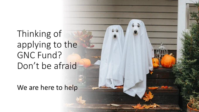 Image of two dogs dressed as Halloween ghosts with text to say don't be afraid to apply to the GNC Fund