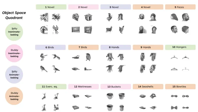15 types of objects, both novel and familiar, from the four quadrants of object space.