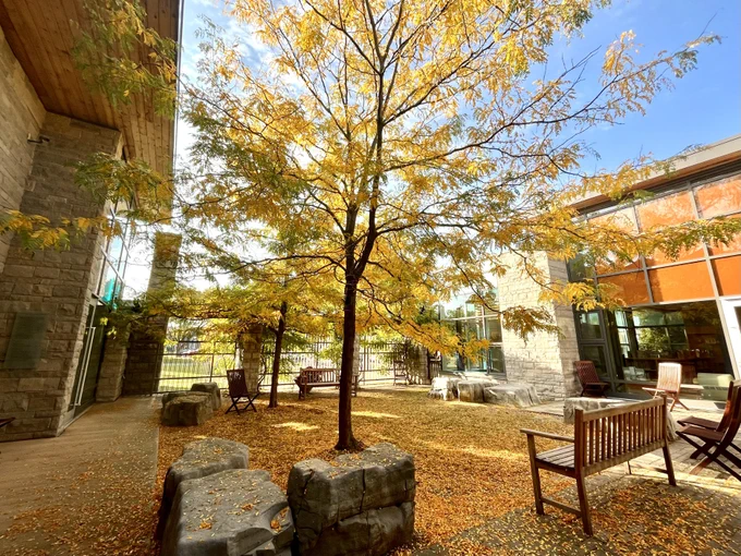An outdoor courtyard at the Calvin Park Branch, with autumn leaves on trees and the ground.
