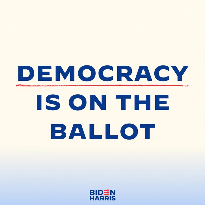 A graphic that reads:

Democracy is on the ballot