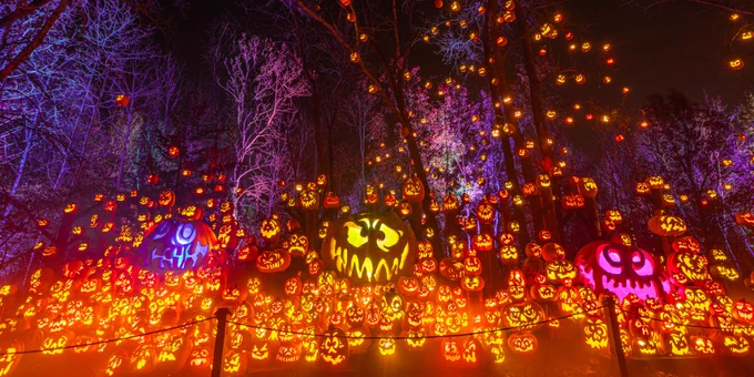 Illuminated pumpkins at Minnesota Zoo's Jack-O-Lantern Spectacular event