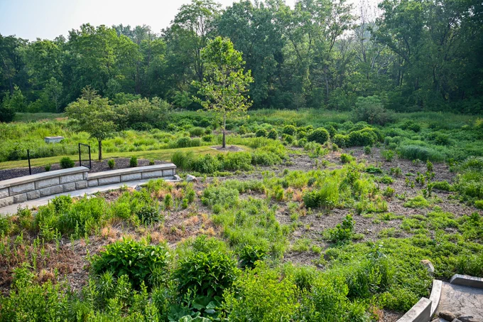 a green infrastructure bioretention basin in sunny cleveland.