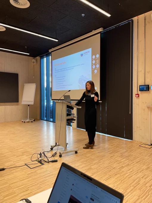 Emma Verling, Project Coordinator of the Marine SABRES project stands in the front of a conference room delivering a presentation. 