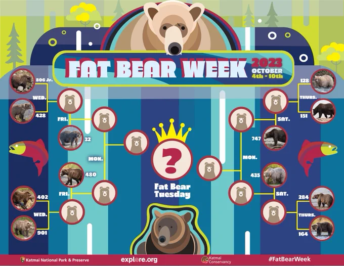 Fat Bear Week bracket updated to show all the competitors.  