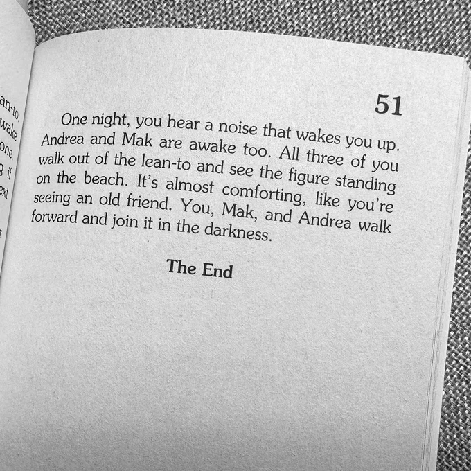 One night, you hear a noise that wakes you up.
Andrea and Mak are awake too. All three of you walk out of the lean-to and see the figure standing on the beach. It's almost comforting, like you're seeing an old friend. You, Mak, and Andrea walk forward and join it in the darkness.
The End