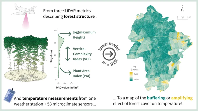 This is the graphical abstract of the paper. In short, here are the highlights:
●	Airborne LiDAR is ideal to predict forest thermal environment at a high resolution
●	We used Maximum height, Plant Area & Vertical Complexity Index as structure metrics
●	Forest structure explained 91 % of microclimate variability at a 10-m resolution
●	We mapped the buffering or amplification effect of forest on microclimate temperature
●	Ecologists, conservationists and forest managers would highly benefit from such maps
