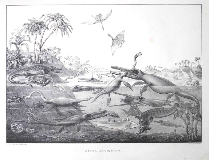 Image of Duria Antiquior, drawn by Henry De la Beche, lithographed by George Scharf and printed by Charles Hullmandel. 
The image depicts Dorset during the Jurassic and shows ichthyosaurs, plesiosaurs, pterosaurs, ammonites, belemnites and other creatures and plants, including defecating animals.