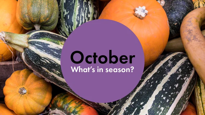 [Image Description: The Image shows a purple button containing the caption "October: What's in Season". Behind the button are images of marrows pumpkins and other squash like vegetables].