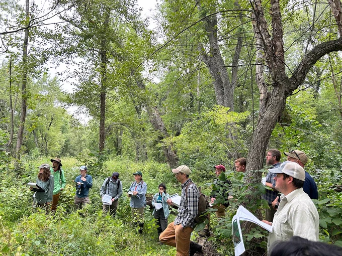 Group of people holding packets of paper in a forest. 