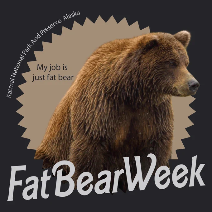 Graphic of a large bear sitting surrounded by text, "Fat Bear Week, my job is just fat bear, and Katmai National Park and Preserve, Alaska."