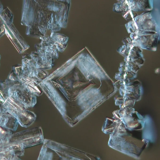 NaCl: Sodium chloride crystals in polarised light with analyser. NaCl is cubic and isotropic. 