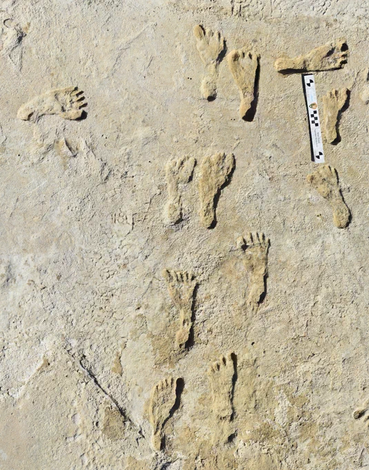 Human footprints at White Sands National Park.

Image credit: NPS