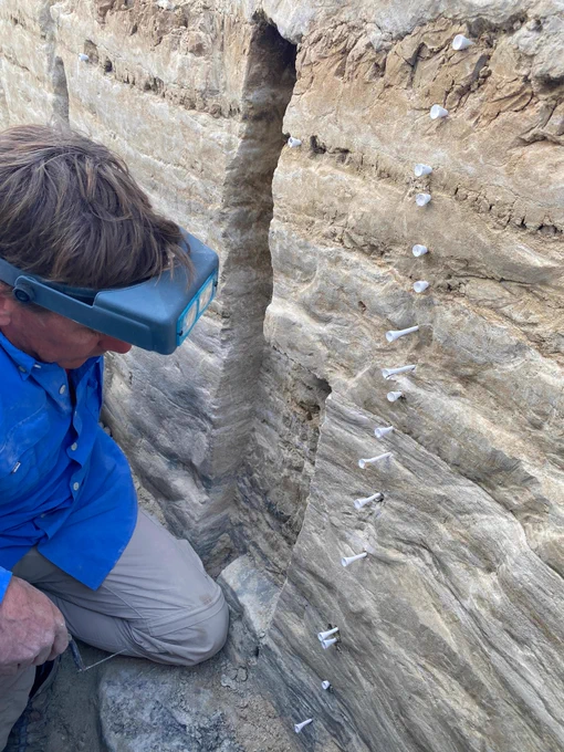 USGS scientist Jeff Pigati examines the layers of sediment while collecting pollen to help establish the age of the footprints.

Image credit: NPS