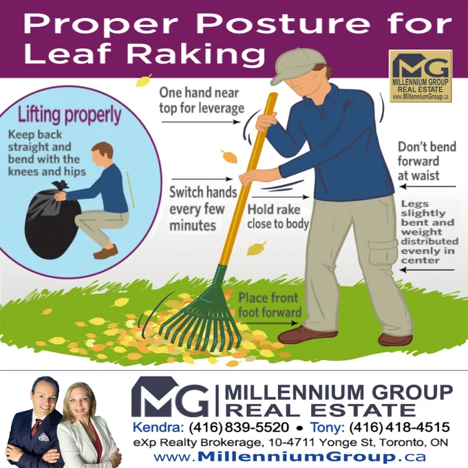 RATS! Unfortunately, you must rake those leaves. Otherwise, they make a great hiding place for voles and mice. Also, rotten leaves can cause fungal disease, like snow mold, on your lawn. So start raking! But do it properly 🍁

#HowToRakeLeaves #ProperPosture #LeafRakingTip #LeafRakingAdvice #KendraCutroneBroker #TonyCutroneRealtor #MillenniumGroupRealEstate #MillenniumGroup #FREEHomeEvaluation #FREEHomeStaging #FixAndFlipExpert #WeSellForMore #TonySellsGTA #KendraCutroneSRES #RealEstateInvestmentExperts #SeniorsRealEstateSpecialist #BestRealtorVaughan #BestRealtorNewmarket #BestRealtorRichmondHill #BestRealtorToronto #BestRealtorYorkRegion #BestRealtorAurora #BestRealtorMaple  #DownsizingRealtor #DownsizeExpert #LikeForLike #MillenniumGroupRealtor