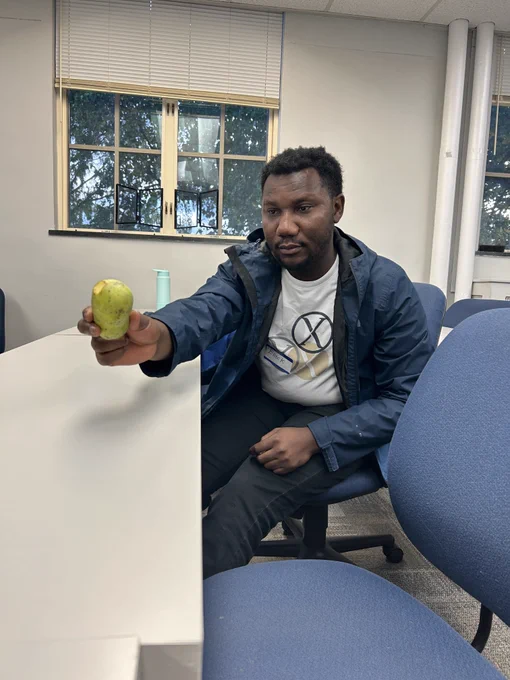 PAWS member passing a paw paw fruit with a bite taken out of it to another person. The paw paw is a round greenish yellow fruit about the side of a baked potato. 