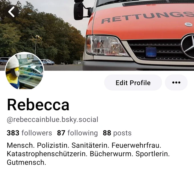 Screenshot eines Profils unter dem Profilnamen RebeccaInBlue