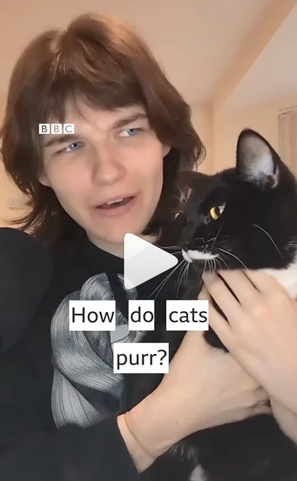 The BBC's Ella Hubber explains. https://www.instagram.com/reel/CyDFelmplHb/