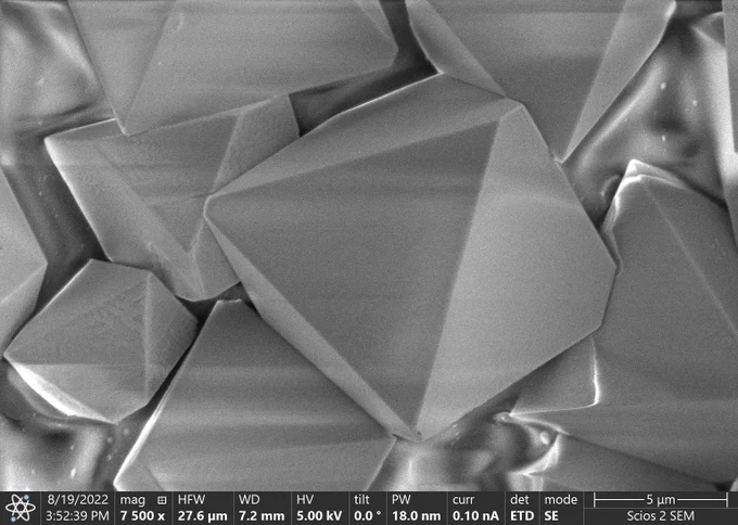 Scanning electron microscope image of six-element single crystals.