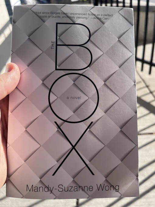 The Box by Mandy-Suzanne Wong