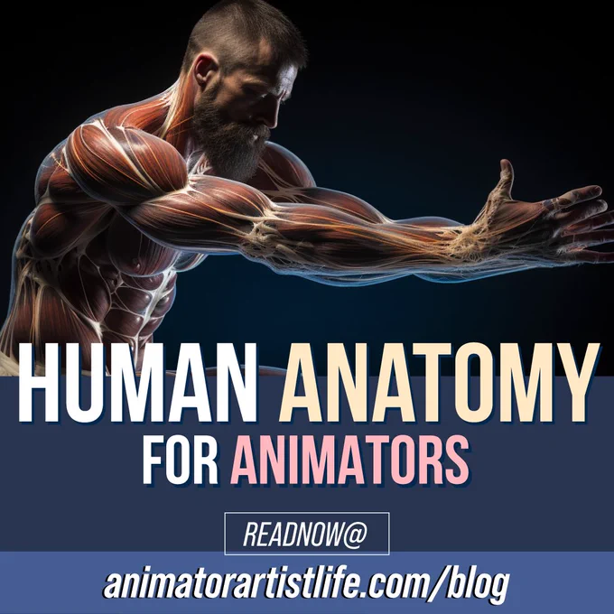Human anatomy for animators and artists
