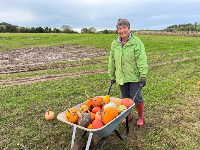 A volunteer with a bright green jacket poses in a field and smiles with a wheelbarrow full of various varieties of pumpkins.