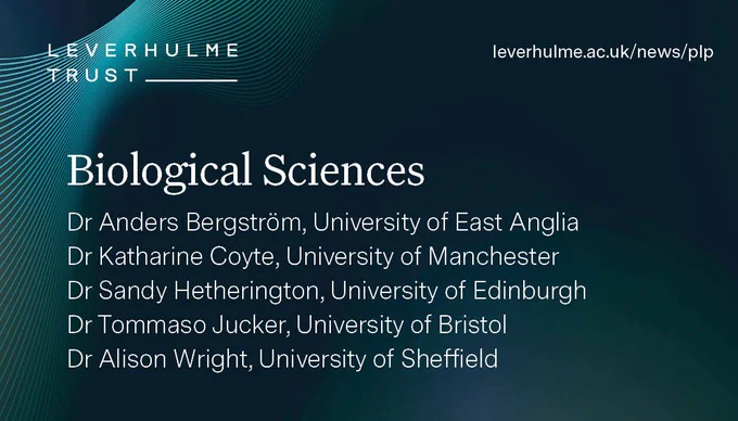 Biological Sciences
Dr Anders Bergström, University of East Anglia 
Dr Katharine Coyte, University of Manchester
Dr Sandy Hetherington, University of Edinburgh 
Dr Tommaso Jucker, University of Bristol
Dr Alison Wright, University of Sheffield
