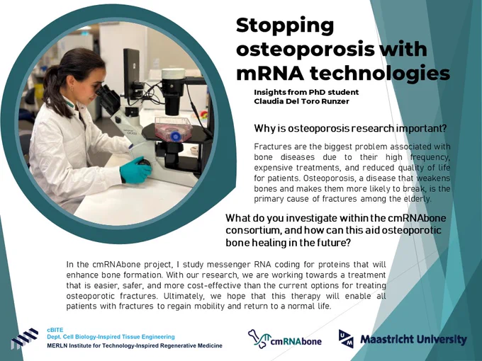 Stopping osteoporosis with mRNA technologies
Insights from PhD student 
Claudia Del Toro Runzer

Q: Why is osteoporosis research important?
A: Fractures are the biggest problem associated with bone diseases due to their high frequency, expensive treatments, and reduced quality of life for patients. Osteoporosis, a disease that weakens bones and makes them more likely to break, is the primary cause of fractures among the elderly.

Q: What do you investigate within the cmRNAbone consortium, and how can this aid osteoporotic bone healing in the future? 
A: In the cmRNAbone project, I study messenger RNA coding for proteins that will enhance bone formation. With our research, we are working towards a treatment that is easier, safer, and more cost-effective than the current options for treating osteoporotic fractures. Ultimately, we hope that this therapy will enable all patients with fractures to regain mobility and return to a normal life.
