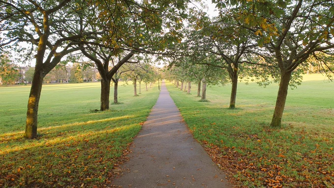 Path through an urban park