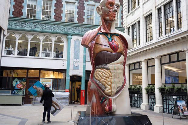A sculpture in a London street shows the innards of a human torso