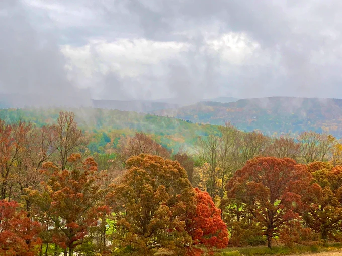Autumnal splendor under gray, misty skies
