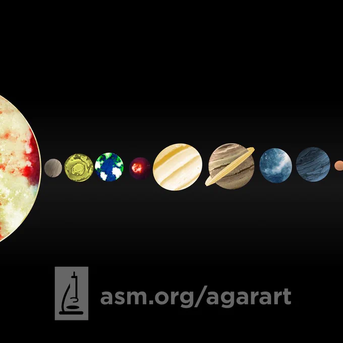 Planets of the solar system