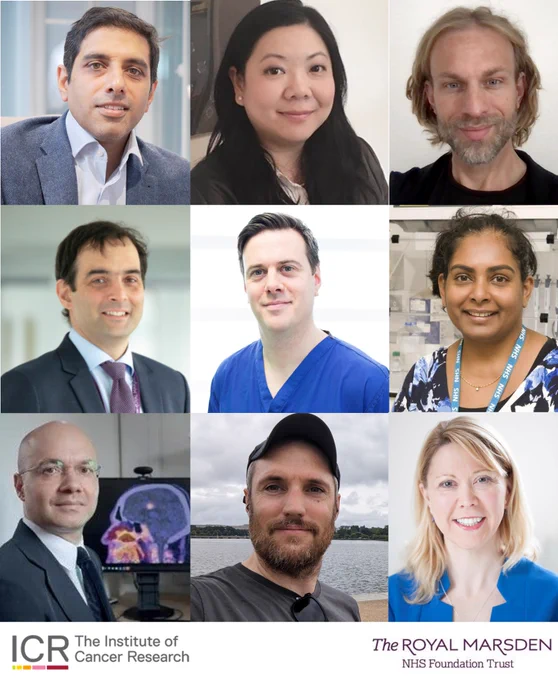 Collage of photos of nine researchers who gained the title of Reader: Ricky Bhogal, Maggie Cheang, Jörg Mansfeld (second row, from left to right), Henry Mandeville, Myles Smith, Juanita Lopez (third row, from left to right), Bhupinder Sharma, Norman Davey and Alison Tree (fourth row, from left to right). Just below these photos there is the ICR logo (left-hand side) and The Royal Marsden NHS Foundation Trust logo (right-hand side)