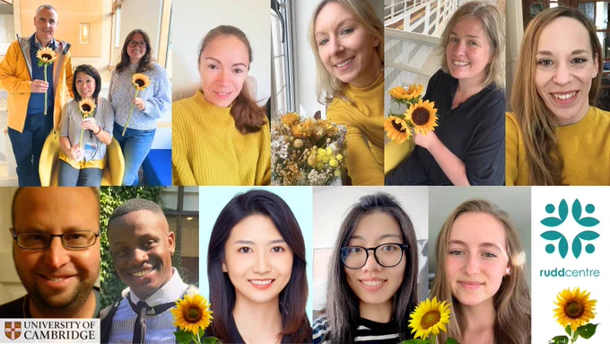 The Rudd Centre team supporting the #HelloYellow campaign as part of #WMHD2023. 