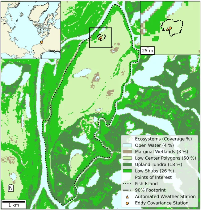 Figure from paper. Caption: A 30 m resolution ecosystem classification map for Fish Island created following methods outlined in Skeeter (2022). The ecosystem classification was created using a multiyear composite (2015–2022) of LANDSAT8 data obtained from Google Earth Engine and a random forest model trained on areas representative of each ecosystem type. The training area for each ecosystem type was 6.5 ha. The inset in the top right shows a larger scale map of the automated weather station (AWS) and the eddy covariance (EC) station in 2017 along with the boundaries of the 90% cumulative flux footprint for the EC station. Both the main map and inset in the top right are in NAD 1983 UTM Zone 8N. The inset in the top left shows the site's location in the broader Arctic region, using a shapefile of the circumpolar land areas obtained from the Circumpolar Arctic Vegetation Map (Walker et al. 2005). This inset is in the WGS 1984 North Pole Lambert Azimuthal Equal Area coordinate system.
