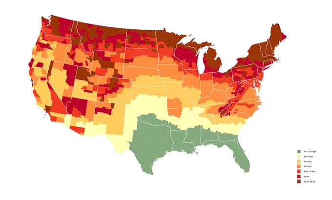 Fall 2023 lead map Source: https://smokymountains.com/fall-foliage-map/