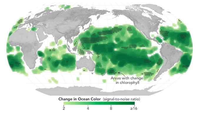 A global map centered on the Pacific Ocean. The map highlights the areas where ocean surface color changed. Change in color is represented by shades of green. The darkest green correlates to higher levels of change. Black dots on the map represent areas where chlorophyll levels also changed.