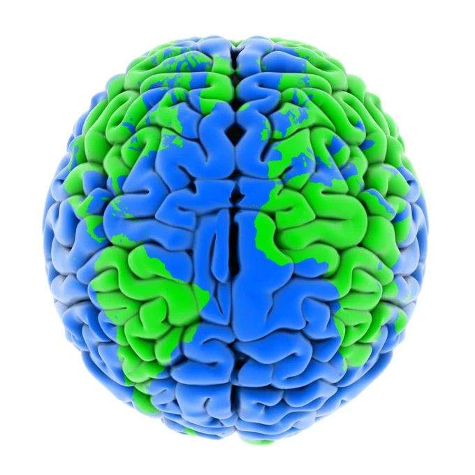 brain rendering of earth/globe.