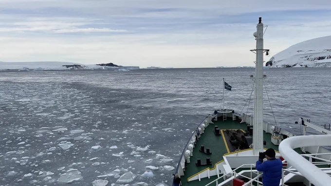 This winter, the usually ice-dominated western Weddell Sea again experienced remarkably low sea-ice conditions. And that may transform it into a hotspot for humpback whales in the summer of 2024.