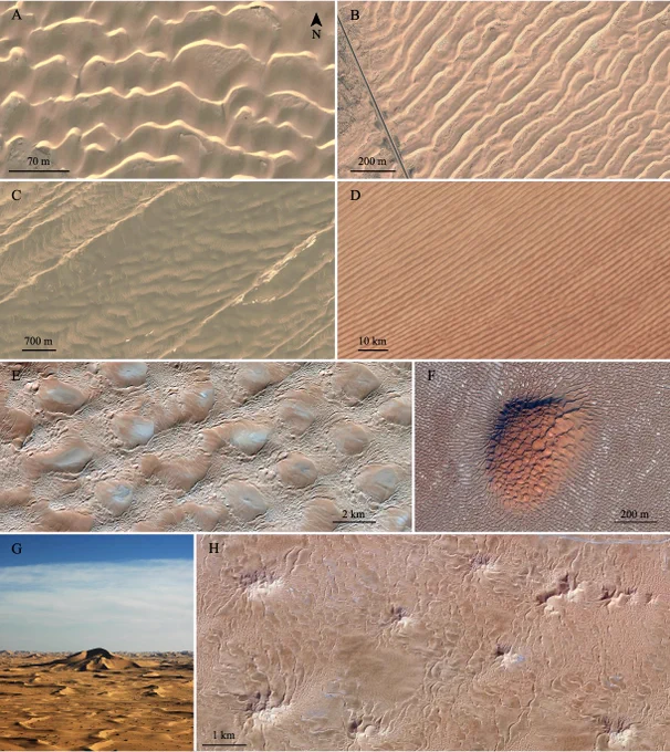 Free dunes.  A: Barchanoid ridges in Occidental Sahara (27.166°N, 13.29°E), date:  11/2018.  B: Straight-crested asymmetric dunes in the Mu-Us desert in China (38.756°N, 107.936°E), date:  3/2011.  C: Zibars (low reliefdunes  between  linear  dunes)  in  the  Kumtagh  desert  in  China  (40.33°N,  92.655°E),  date:  3/2021.   D:  Linear  dunesin  the  Rub’  al  Khali  desert  (18.39°N,  48.058°E),  date:  12/2016.   E:  Network  dunes  in  Libya  (25.136°N,  13.082°E),date:  9/2016.  F: Dome dune in Oman (18.522°N, 53.549°E), date:  11/2014.  G,H: Star dunes in Algeria (31.427°N,7.302°E), date:  8/2012 (H). Credits:  Maxar Technologies (A, B, E, F, H), CNES/Airbus (C), Landsat Copernicus(D), P. Claudin (G).