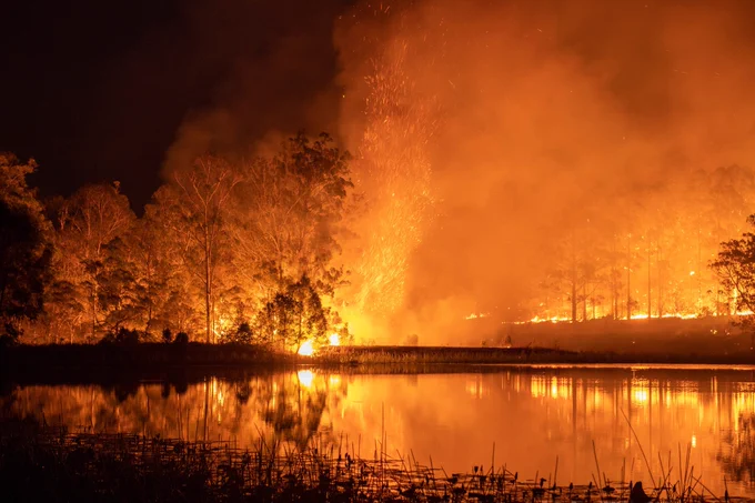 Photo Credit to NY Times. Fire, eucalyptus, water, sparks.