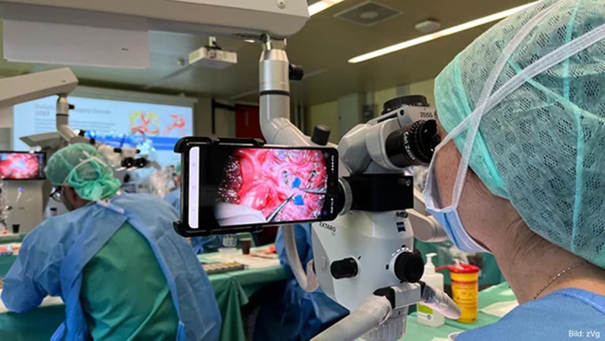Microsurgeons working with a placenta model that they view with a microscope.