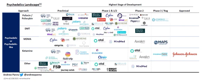 Landscape of psychedelic therapeutic companies summarized by approach & stage of development
