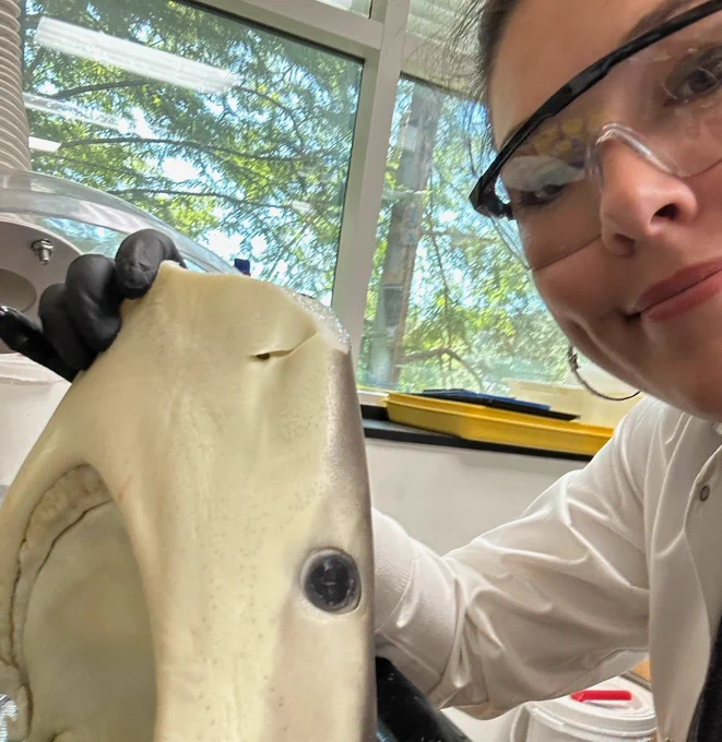 Lauren holding a bronze whalers shark head on a tray